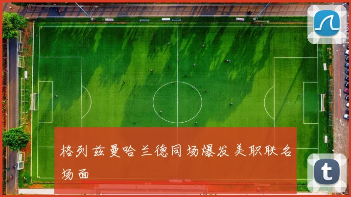 格列兹曼哈兰德同场爆发美职联名场面