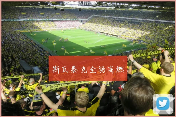 斯瓦泰克全场高燃