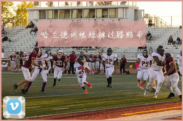 哈兰德训练短裤过膝赔率