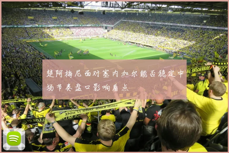 楚阿梅尼面对塞内加尔能否稳定中场节奏盘口影响看点
