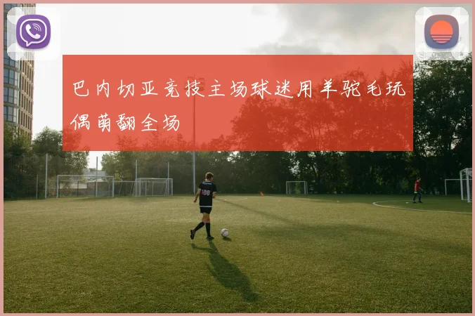 巴内切亚竞技主场球迷用羊驼毛玩偶萌翻全场